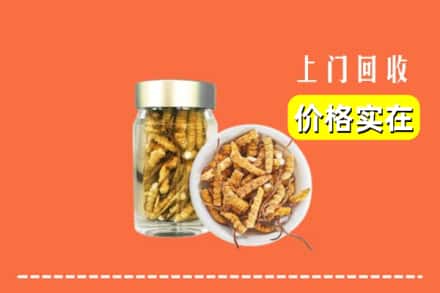 杭州市建德回收散虫草