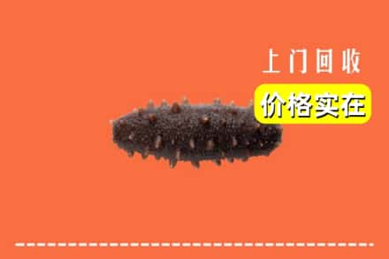 杭州市建德回收海参